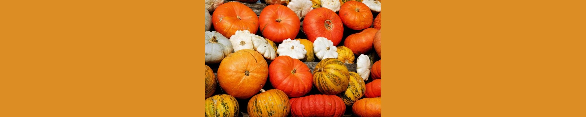 Pumpkins
