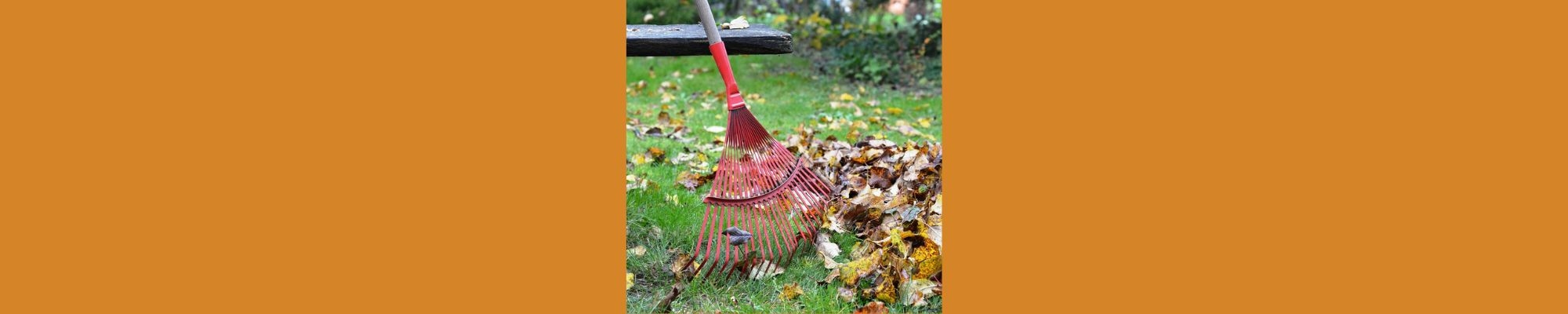 Rake with leaves