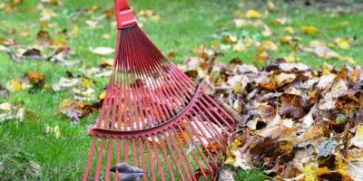 Rake and leaves